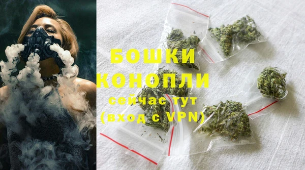 apvp Гусь-Хрустальный