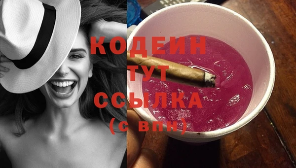 гашик Горняк
