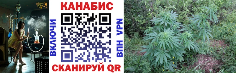 Купить закладки  Змеиногорск  Бошки Шишки OG Kush 